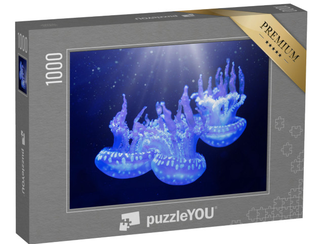 Puzzle 1000 pezzi „La medusa lagunare maculata“