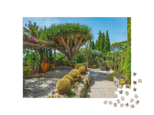 Puzzle 1000 pezzi „Succulente e cactus ai Giardini Ravino di Forlì, Ischia, Italia.“