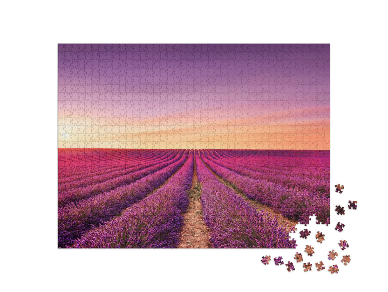 Puzzle 1000 pezzi „Fiori di lavanda: campi in fiore al tramonto, Provenza, Francia“