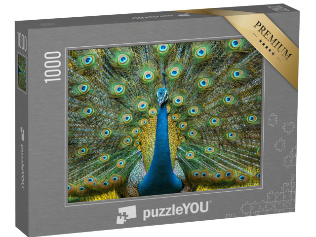 Puzzle 1000 pezzi „Pavone, uccello nazionale dell'India“