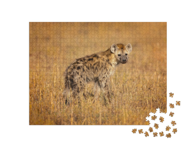Puzzle 1000 pezzi „La iena maculata, nota anche come iena ridente, è originaria dell'Africa.“