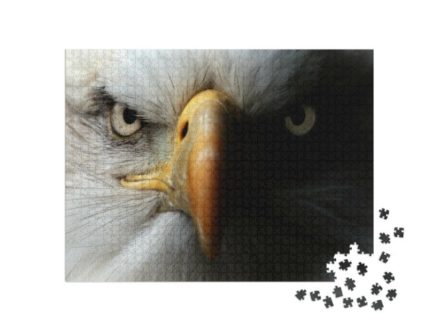 Puzzle 1000 pezzi „Aquila: primo piano come ritratto“