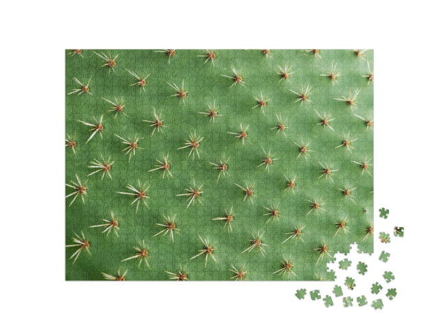 Puzzle 1000 pezzi „Primo piano degli aculei di un cactus“