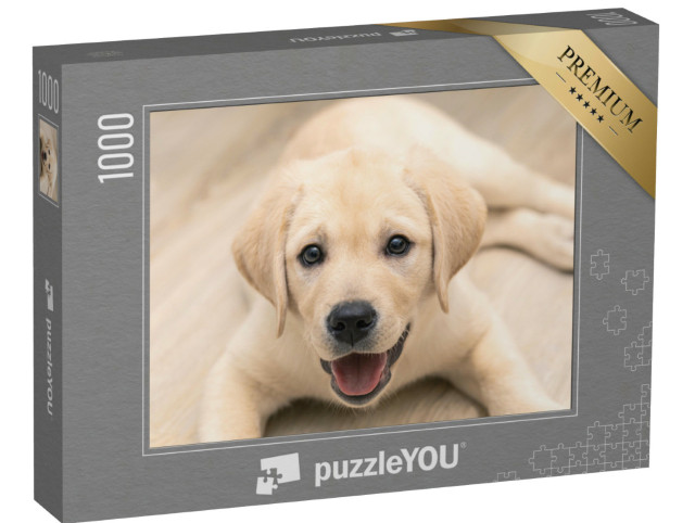 Puzzle 1000 pezzi „Adorabile cucciolo di Labrador dorato in primo piano“