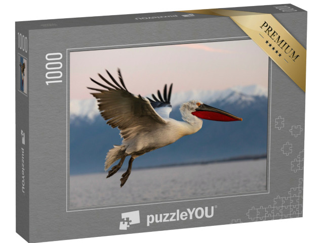 Puzzle 1000 pezzi „Pellicano dalmata in volo sul lago di Kerkini, Grecia“