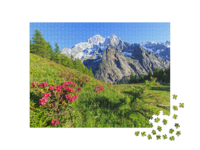 Puzzle 1000 pezzi „Rododendri in fiore davanti al Monte Bianco, Val Veny, Courmayeur, Valle d'Aosta, Italia, Europa“