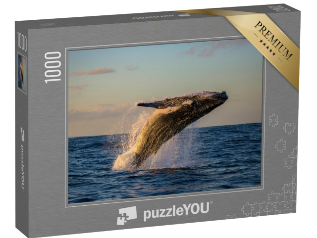 Puzzle 1000 pezzi „Salto della megattera al crepuscolo“