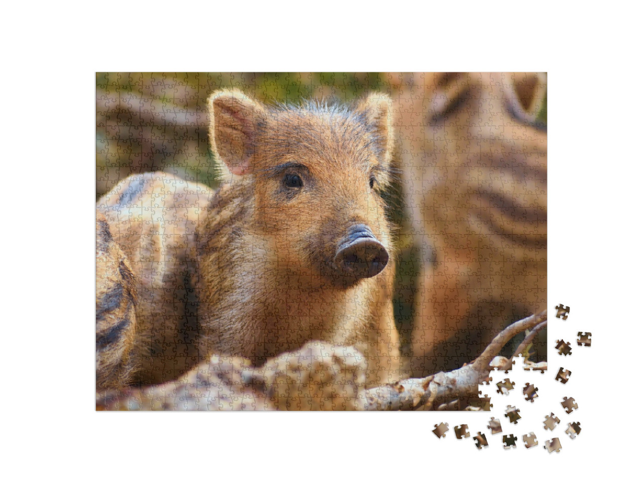 Puzzle 1000 pezzi „Neonati nella foresta“