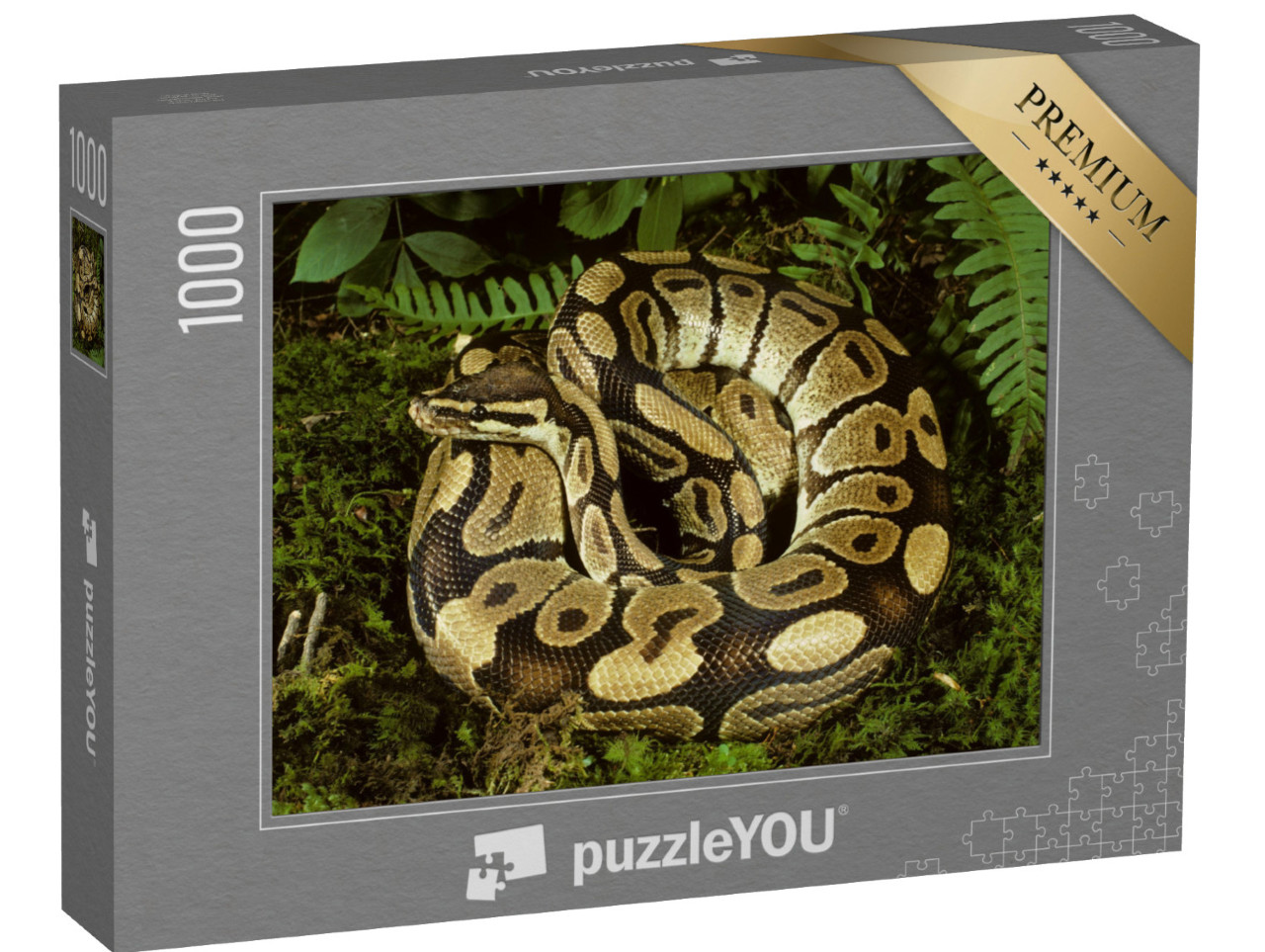 Puzzle 1000 pezzi „Bellissimo pitone palla dall'Africa“