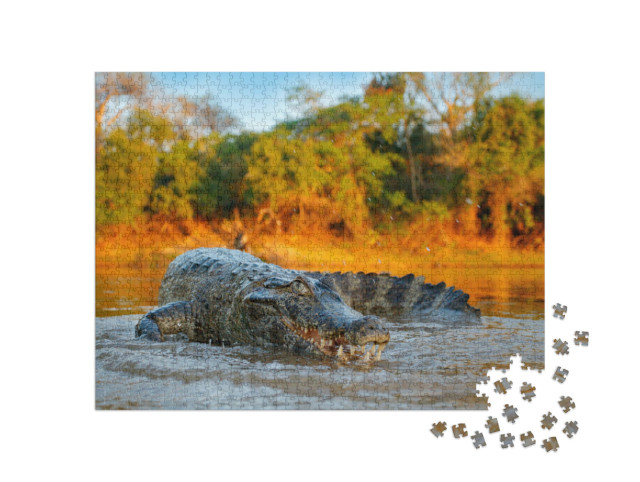 Puzzle 1000 pezzi „Coccodrillo sulla riva del fiume, Bolivia“