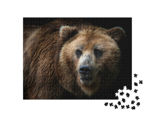 Puzzle 1000 pezzi „Un orso della Kamchatka“