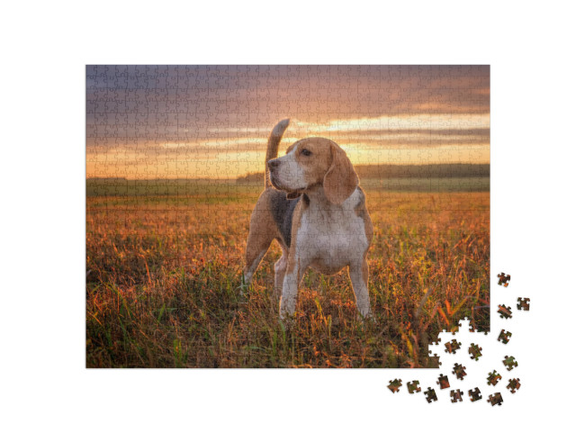 Puzzle 1000 pezzi „Un beagle fa una passeggiata dopo la pioggia d'estate“