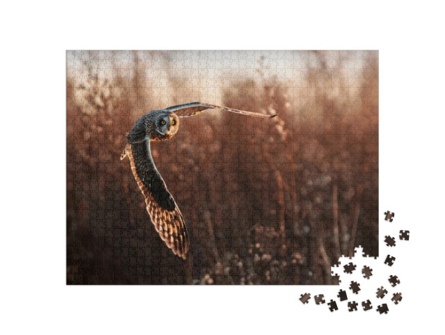 Puzzle 1000 pezzi „Civetta in volo durante la caccia“