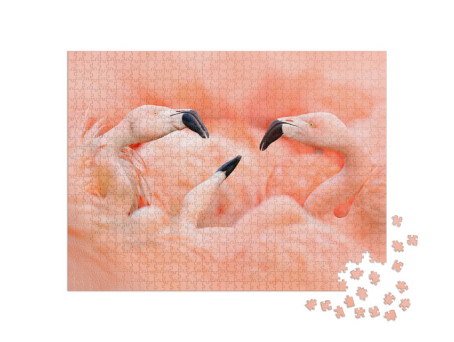 Puzzle 1000 pezzi „Fenicotteri rosa“