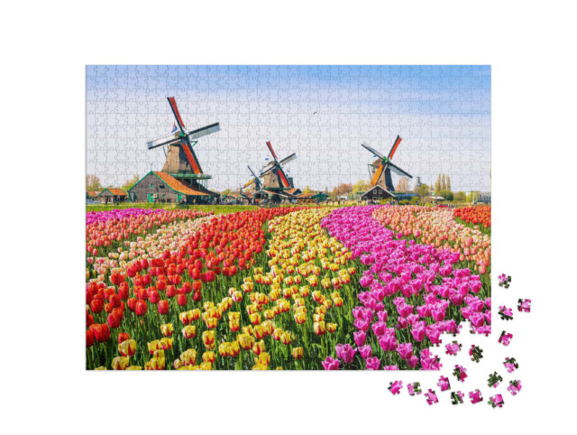 Puzzle 1000 pezzi „Tulipani e mulini a vento a Zaanse Schans, Paesi Bassi“