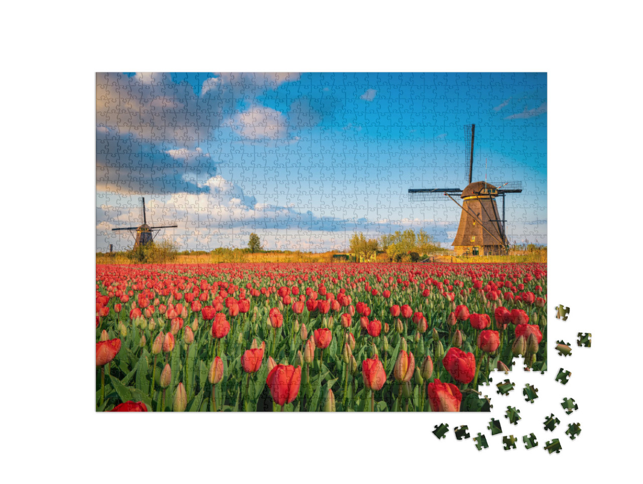 Puzzle 1000 pezzi „Paesaggio olandese con mulini a vento e tulipani in fiore“