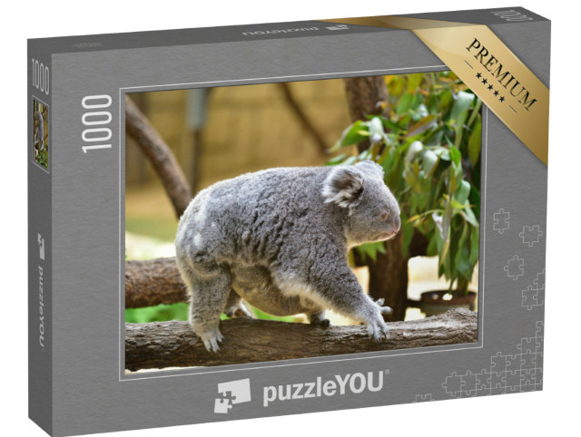 Puzzle 1000 pezzi „Un cucciolo di koala si aggrappa alla pancia della madre“