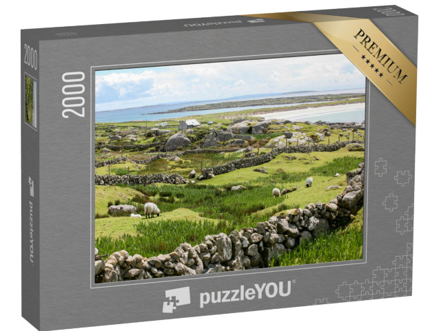 Puzzle 2000 pezzi „Muri di pietra irlandesi sulla costa“