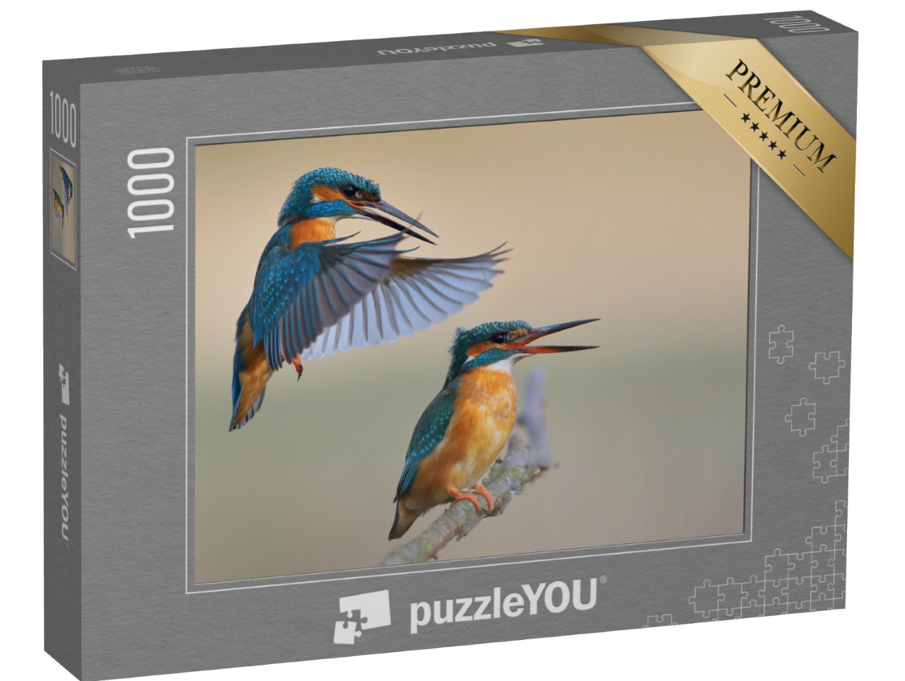 Puzzle 1000 pezzi „Martin pescatore“