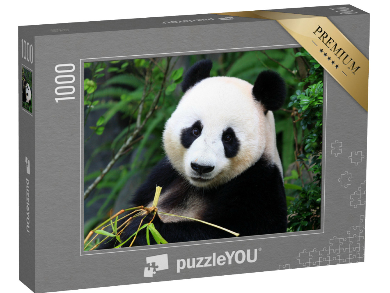 Puzzle 1000 pezzi „Un orso panda gusta i germogli di bambù“