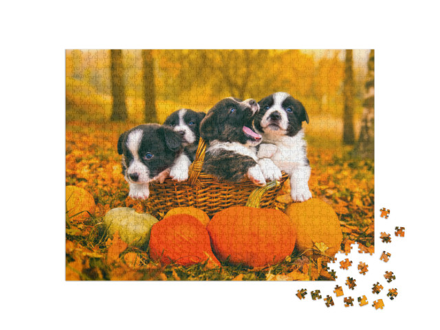 Puzzle 1000 pezzi „Cuccioli di Welsh Corgi Pembroke in autunno“