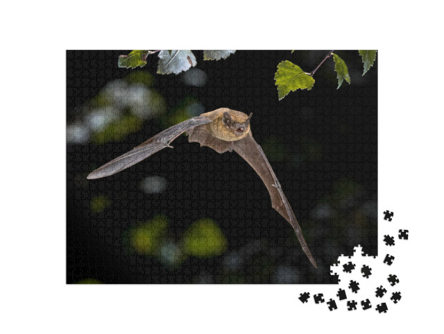 Puzzle 1000 pezzi „Pipistrello in volo“