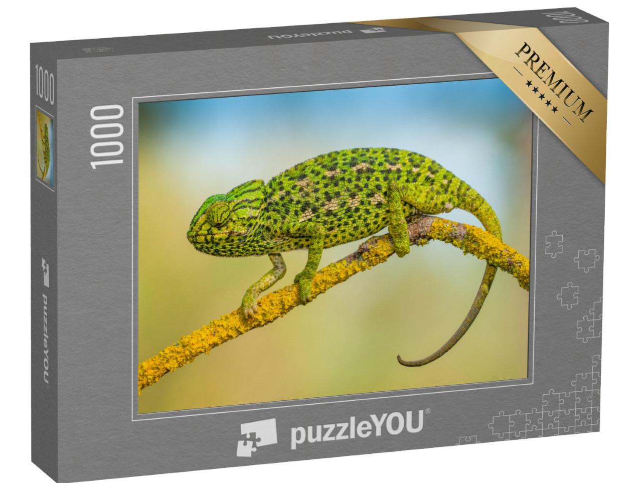 Puzzle 1000 pezzi „Camaleonte comune“