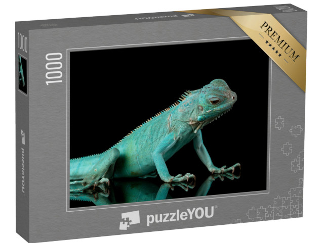 Puzzle 1000 pezzi „Iguana blu“