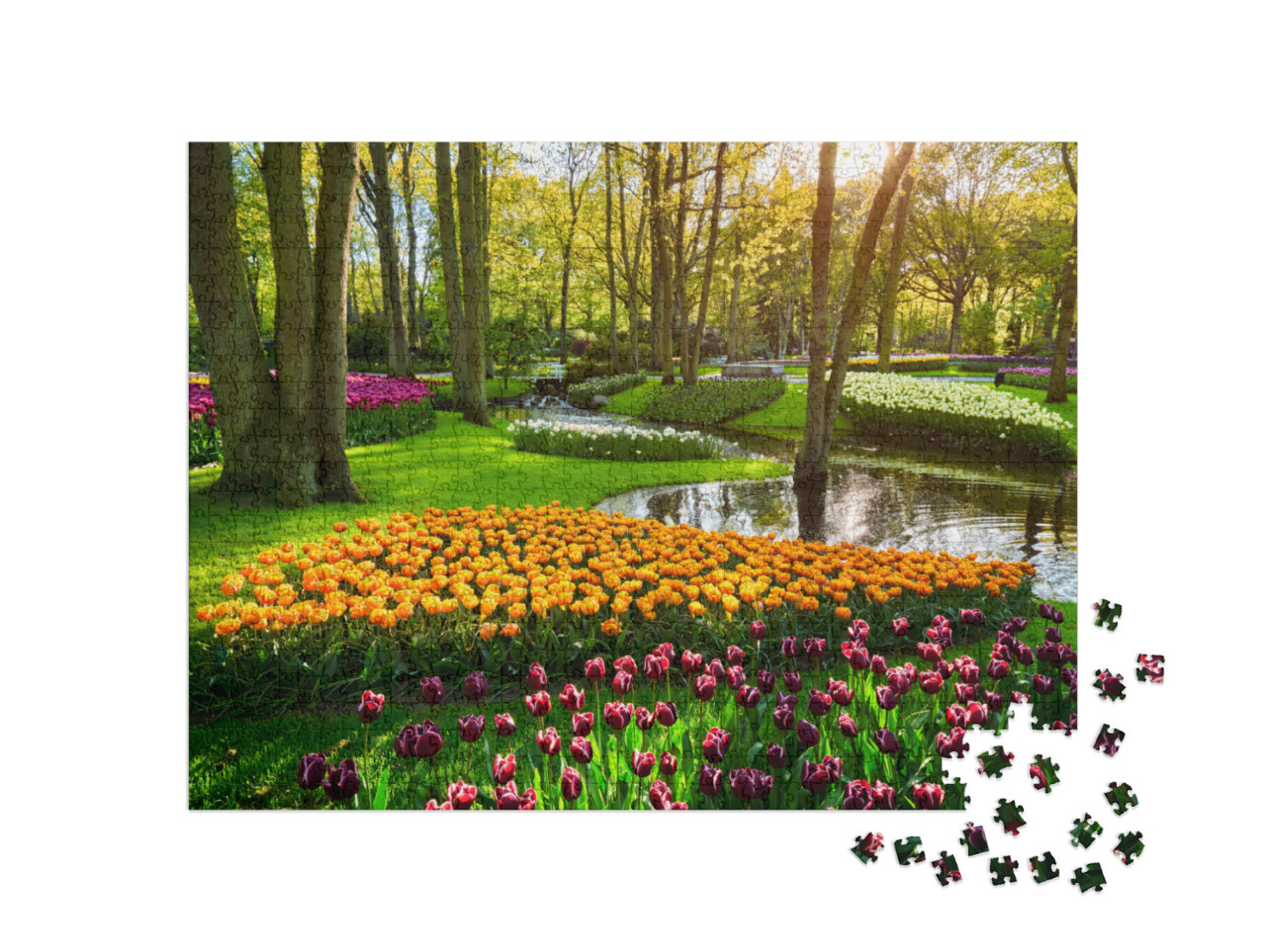 Puzzle 1000 pezzi „Letto di tulipani nel Keukenhof, Lisse, Paesi Bassi“