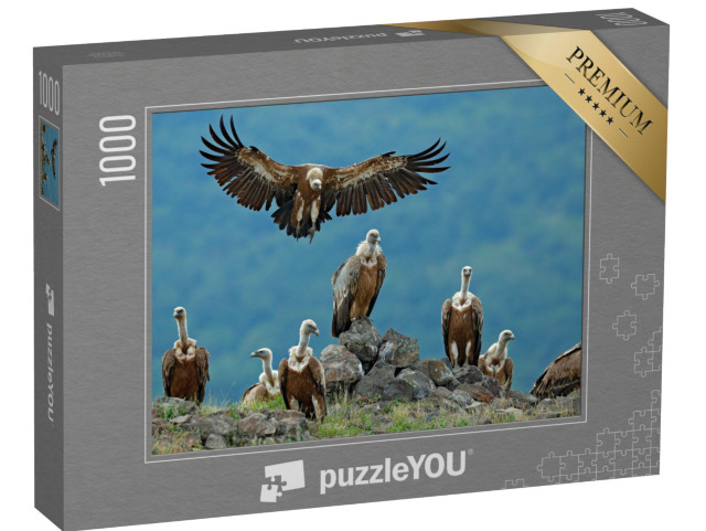 Puzzle 1000 pezzi „Gruppo di grifoni nel loro habitat naturale“