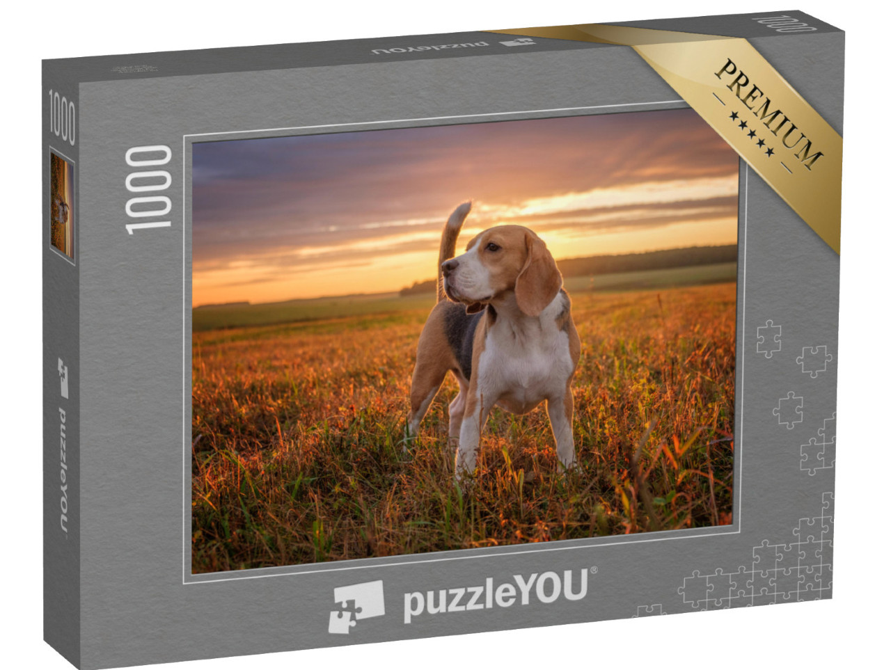 Puzzle 1000 pezzi „Un beagle fa una passeggiata dopo la pioggia d'estate“