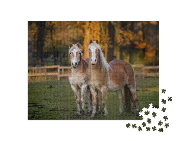 Puzzle 1000 pezzi „Due cavalli in un prato d'autunno“