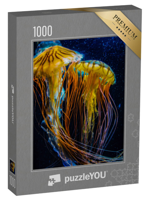 Puzzle 1000 pezzi „Meduse belle ma velenose“