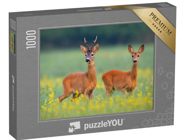 Puzzle 1000 pezzi „Capriolo in un campo pieno di fiori di campo gialli“