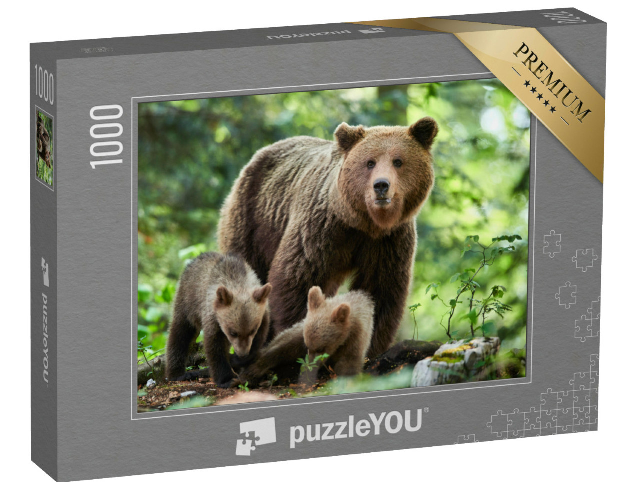 Puzzle 1000 pezzi „Un primo piano di un orso bruno selvatico“