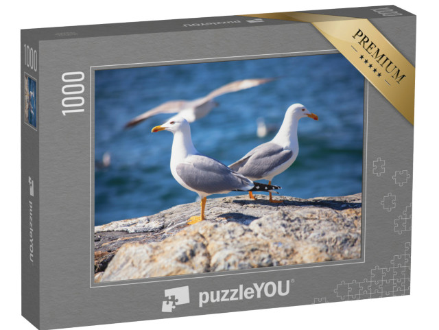 Puzzle 1000 pezzi „Due gabbiani sulla spiaggia“