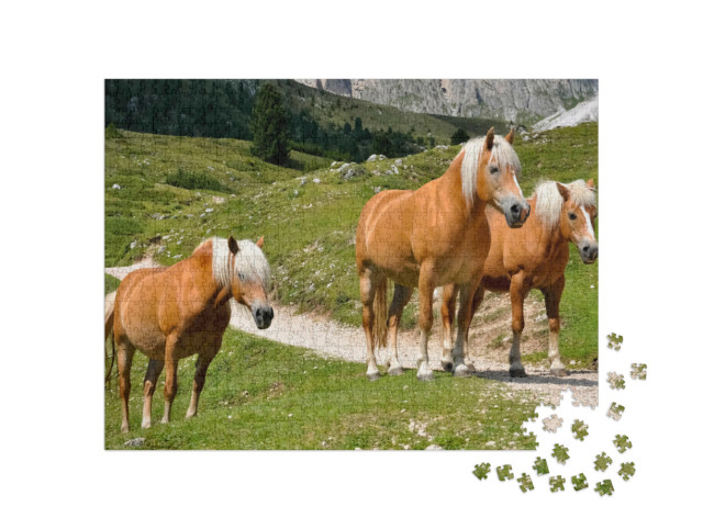 Puzzle 1000 pezzi „Tre cavalli avelignesi in un pascolo di montagna in Alto Adige, Italia“