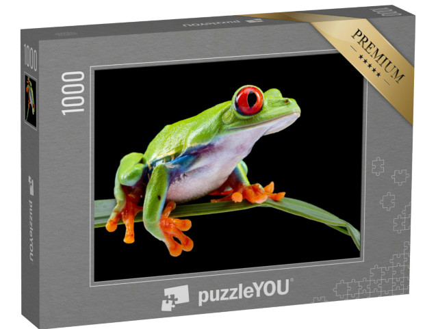 Puzzle 1000 pezzi „Rana dagli occhi rossi su una foglia“