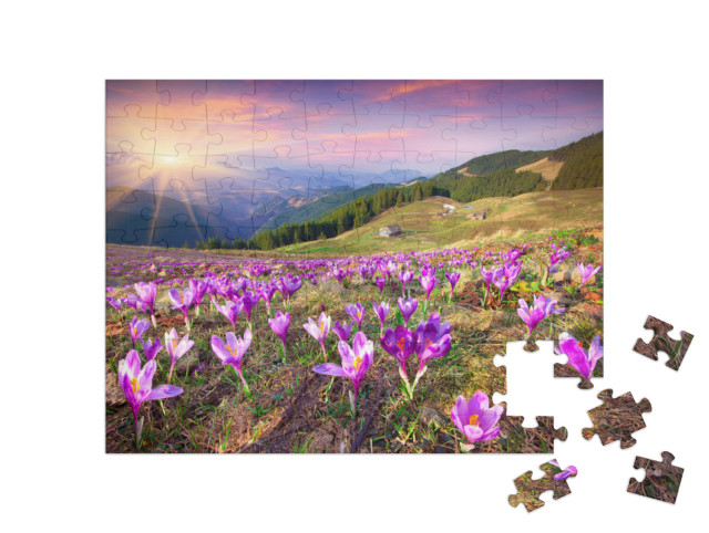 Puzzle 100 pezzi „Tramonto sui crochi in fiore in montagna“
