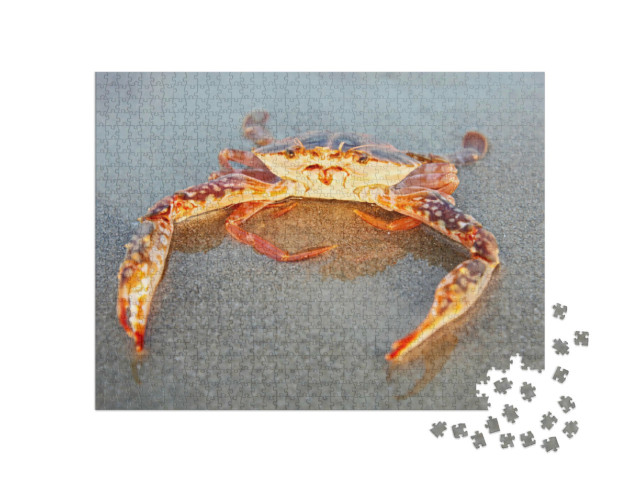 Puzzle 1000 pezzi „Granchio rosso sulla spiaggia di Goa, India“