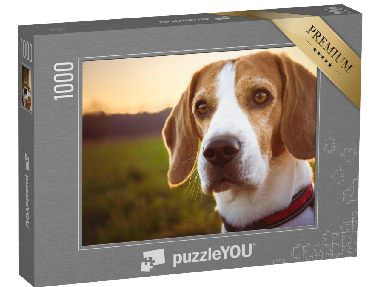 Puzzle 1000 pezzi „Ritratto di un beagle al tramonto“