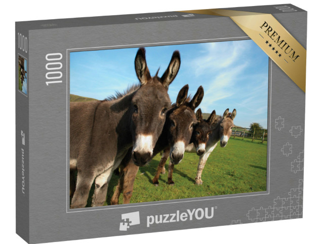 Puzzle 1000 pezzi „Gruppo di asini in un campo“