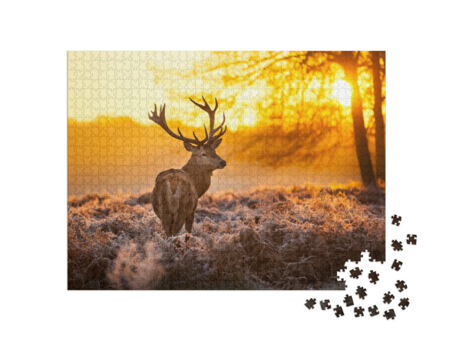 Puzzle 1000 pezzi „Cervo rosso al sole del mattino“