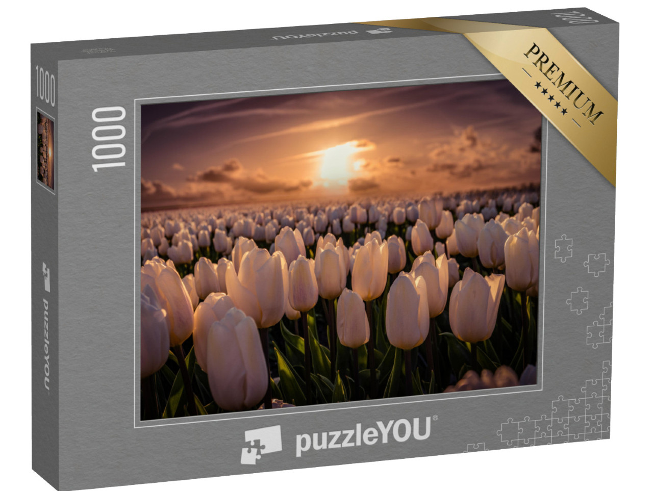 Puzzle 1000 pezzi „Tramonto sul campo di tulipani, Paesi Bassi“