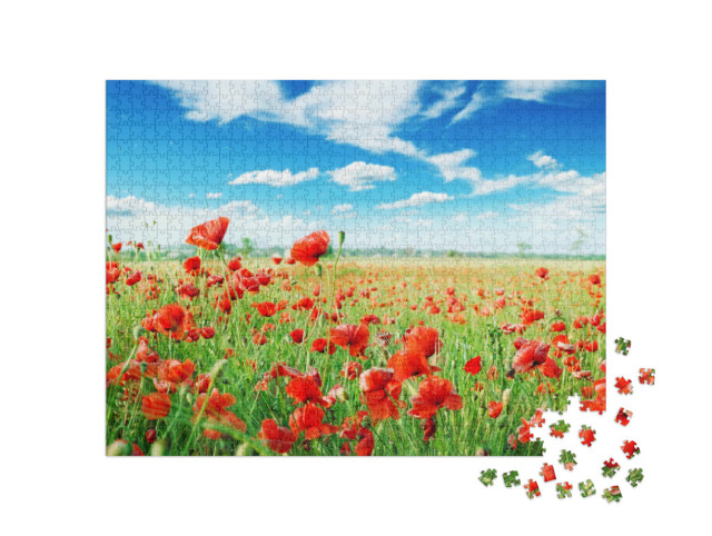 Puzzle 1000 pezzi „Papaveri su un prato verde“