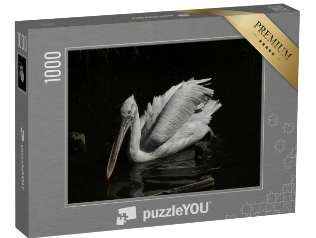 Puzzle 1000 pezzi „Pellicano“