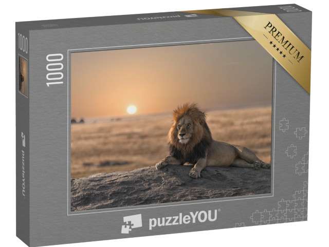 Puzzle 1000 pezzi „Maestoso leone al tramonto“