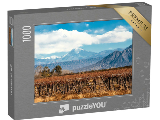 Puzzle 1000 pezzi „Vulcano Aconcagua e vigneto, Ande, Argentina“