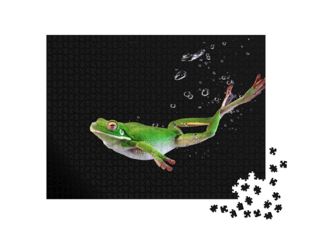 Puzzle 1000 pezzi „Rana bianca nell'acqua“