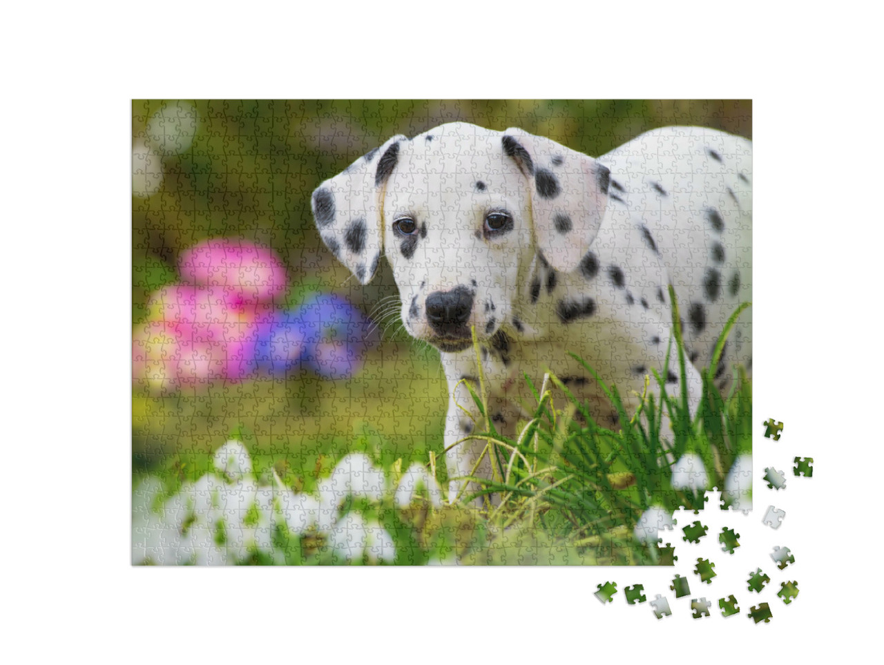 Puzzle 1000 pezzi „Cucciolo di dalmata con fiori primaverili“